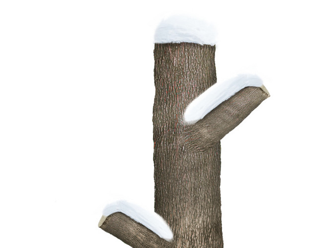 带雪树干圣诞元素