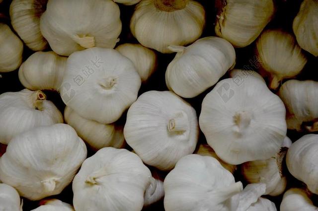 大蒜 蔬菜 食品