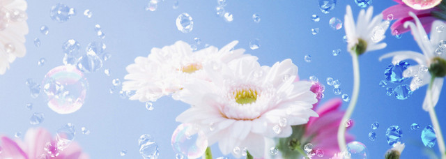 高清炫彩花卉钻石BANNER背景