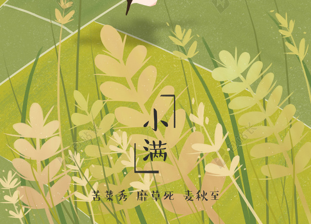 小满二十四节气原创插画