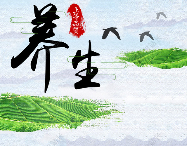 淘宝养生绿色清新简约PSD主图背景素材