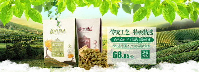 绿色小清新摄影葡萄干BANNER