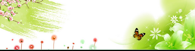 唯美花瓣淘宝女装BANNER壁纸