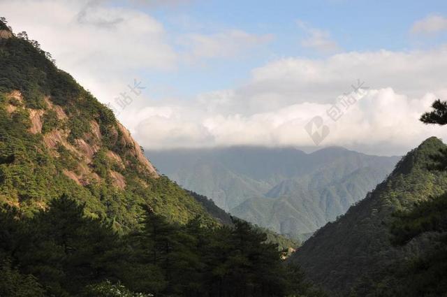绿色户外旅游逢高深林背景图片