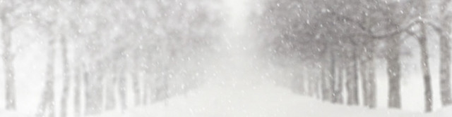 冬季鞋雪地靴背景BANNER