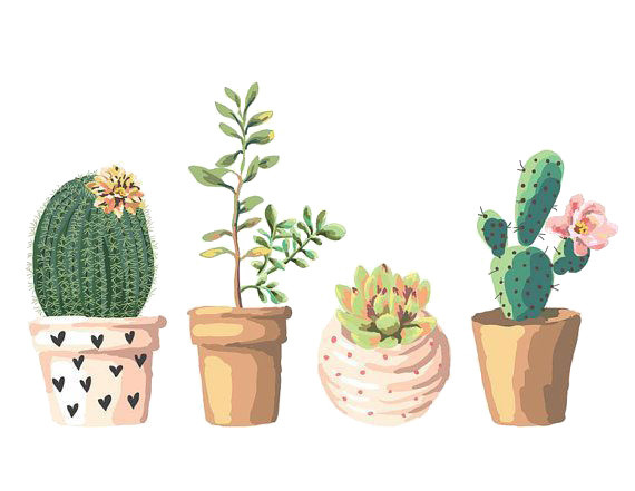 卡通植物