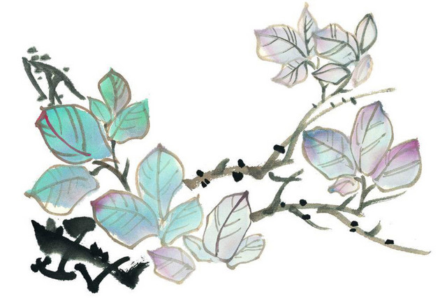 手绘花草