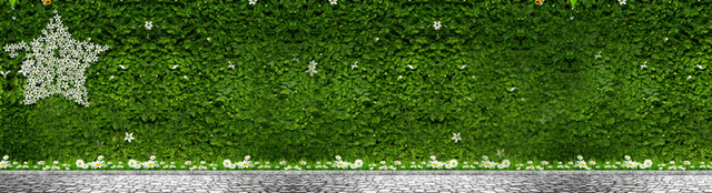 青春帆布鞋爬山虎清新背景BANNER