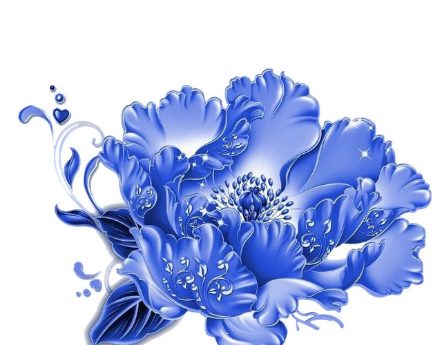 青色的菊花