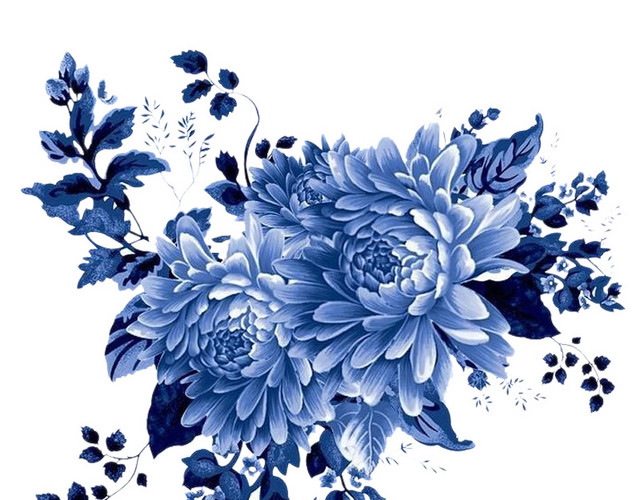 烂漫的菊花