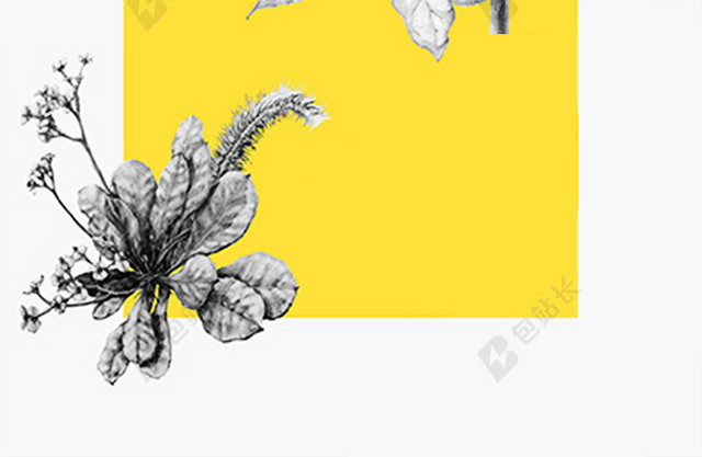 手绘铅笔画花卉封面背景素材