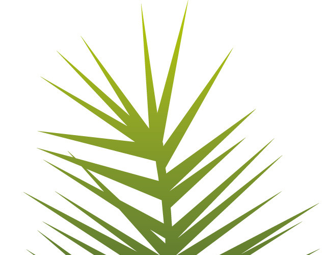 矢量绿色植物设计针叶创意图标