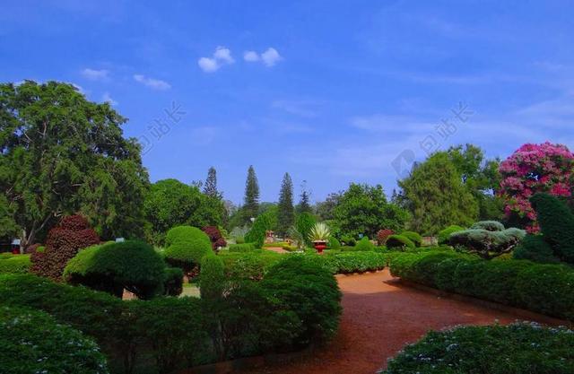 植物园 拉巴克 公园 花园 绿化 班加罗尔 印度