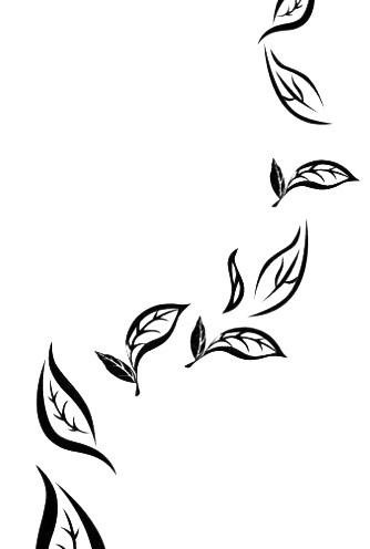 华源茶业元旦致福