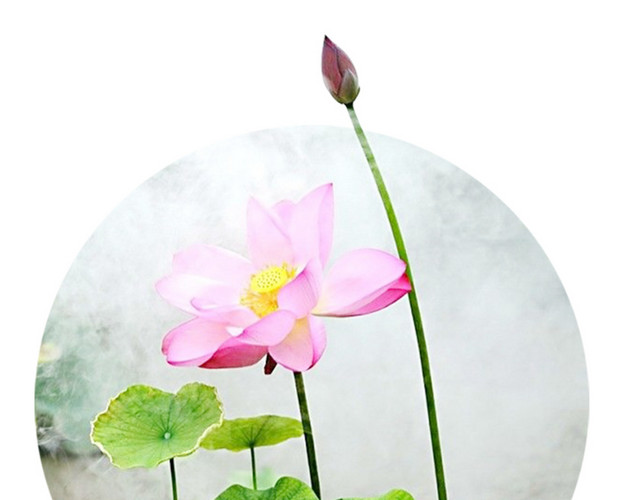 小清新绿色夏季夏至图标
