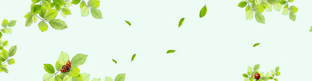 春季清新白色电商海报背景