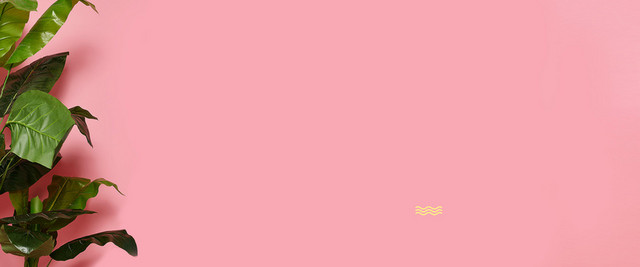 春女装清新粉色淘宝海报背景