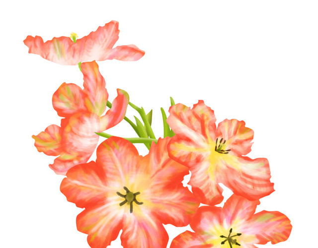 自然花草花卉红花手绘插画PSD