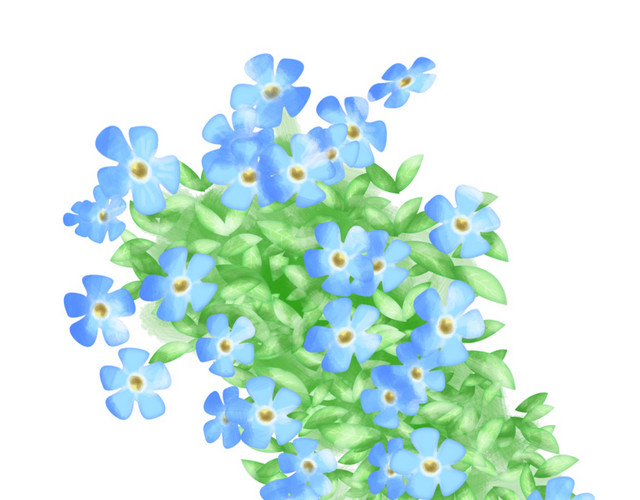 花卉蓝花草绿叶自然手绘插画