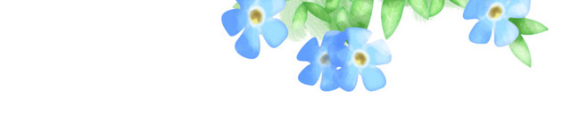 花卉蓝花草绿叶自然手绘插画