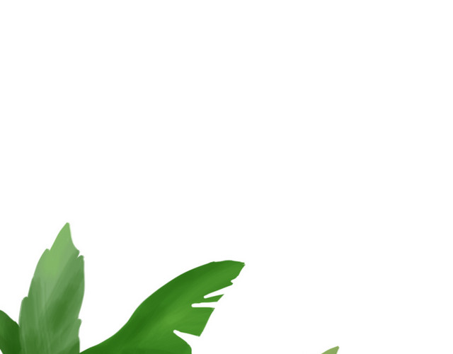 夏季前景树叶手绘插画PSD