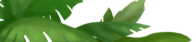 夏季前景树叶手绘插画PSD