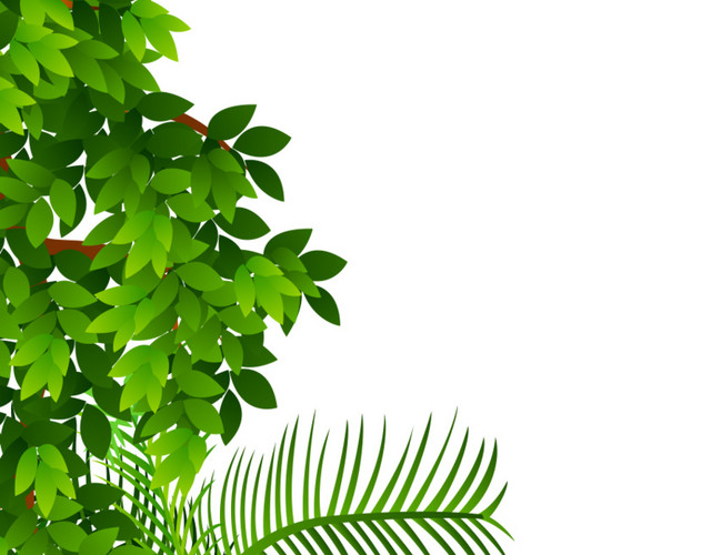 翠绿的树叶绿化手绘植物