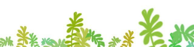 夏季户外野外植物绿叶青草手绘插