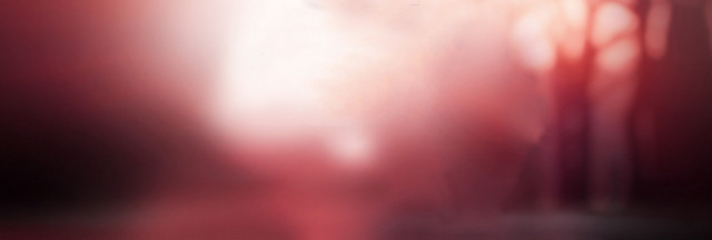 喜庆奢华红色珠宝背景BANNER