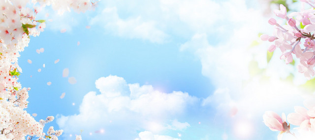 春天自然梦幻唯美风光蓝色BANNER