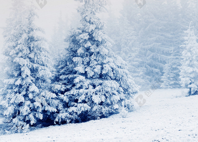 实拍二十四节气大雪背景素材
