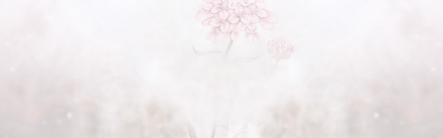 女装创意背景