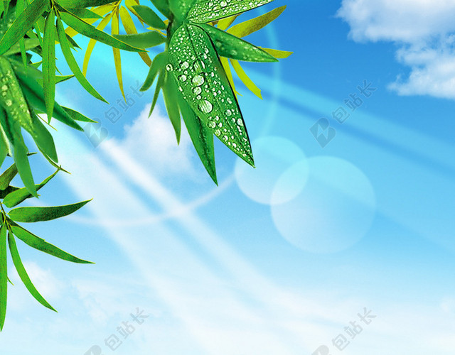 竹子绿茶H5背景