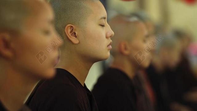 小乘佛教 佛教 修女 年轻的尼姑 SAYALAYS 寺 宗教