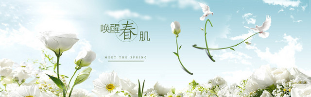 清新化妆品BANNER背景