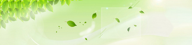 春天清新树叶护肤品背景BANNER