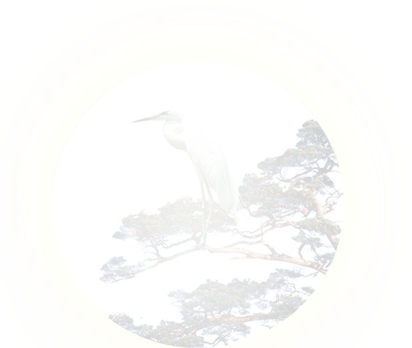 月亮