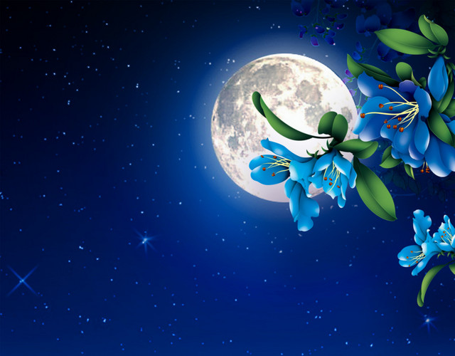 中秋月夜
