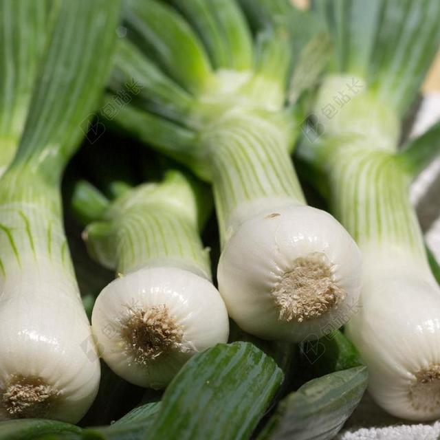 洋葱 葱 春 绿色 食品 健康 蔬菜 沙拉 素 新鲜