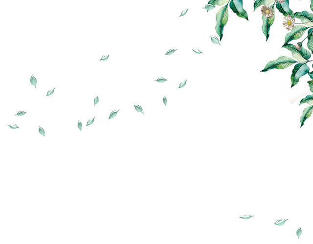 二十四节气之立夏荷叶树叶边框