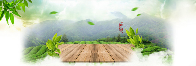 春茶上新绿色健康背景