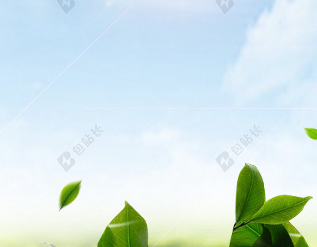 小清新绿叶蓝天手机背景