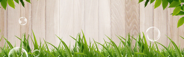 木板花草海报背景BANNER