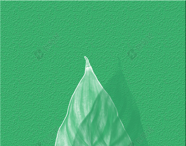 素色绿叶简约PSD分层H5背景素材