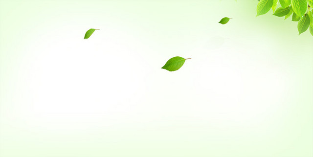 绿叶背景