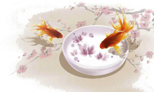 古风金鱼花朵意境