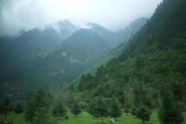 绿色的山坡和白雾背景图片