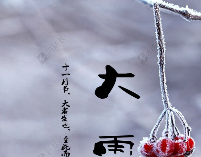 二十四节气大雪节气海报