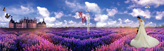 天猫，淘宝，背景BANNER图设计