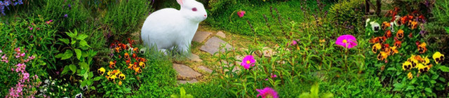 淘宝梦幻背景图